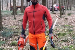 Der Baumflüsterer