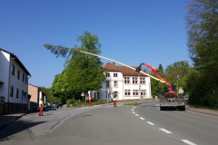 20190501_095100