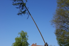 20190501_095133