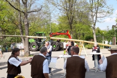 IMG-20190501-WA0017