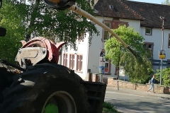 IMG-20190501-WA0034